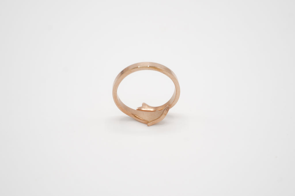Dolphin Embrace Ring
