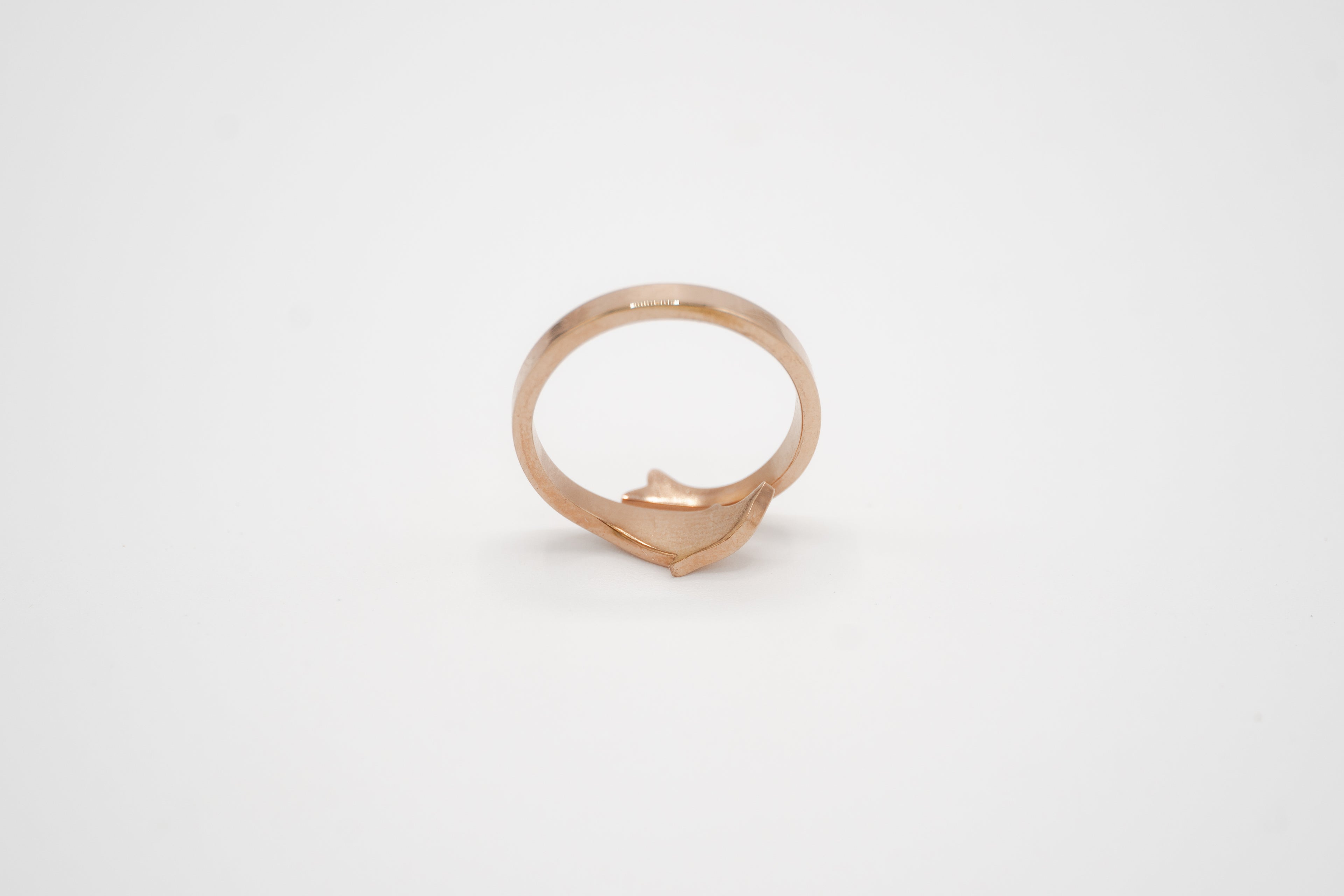 Dolphin Embrace Ring
