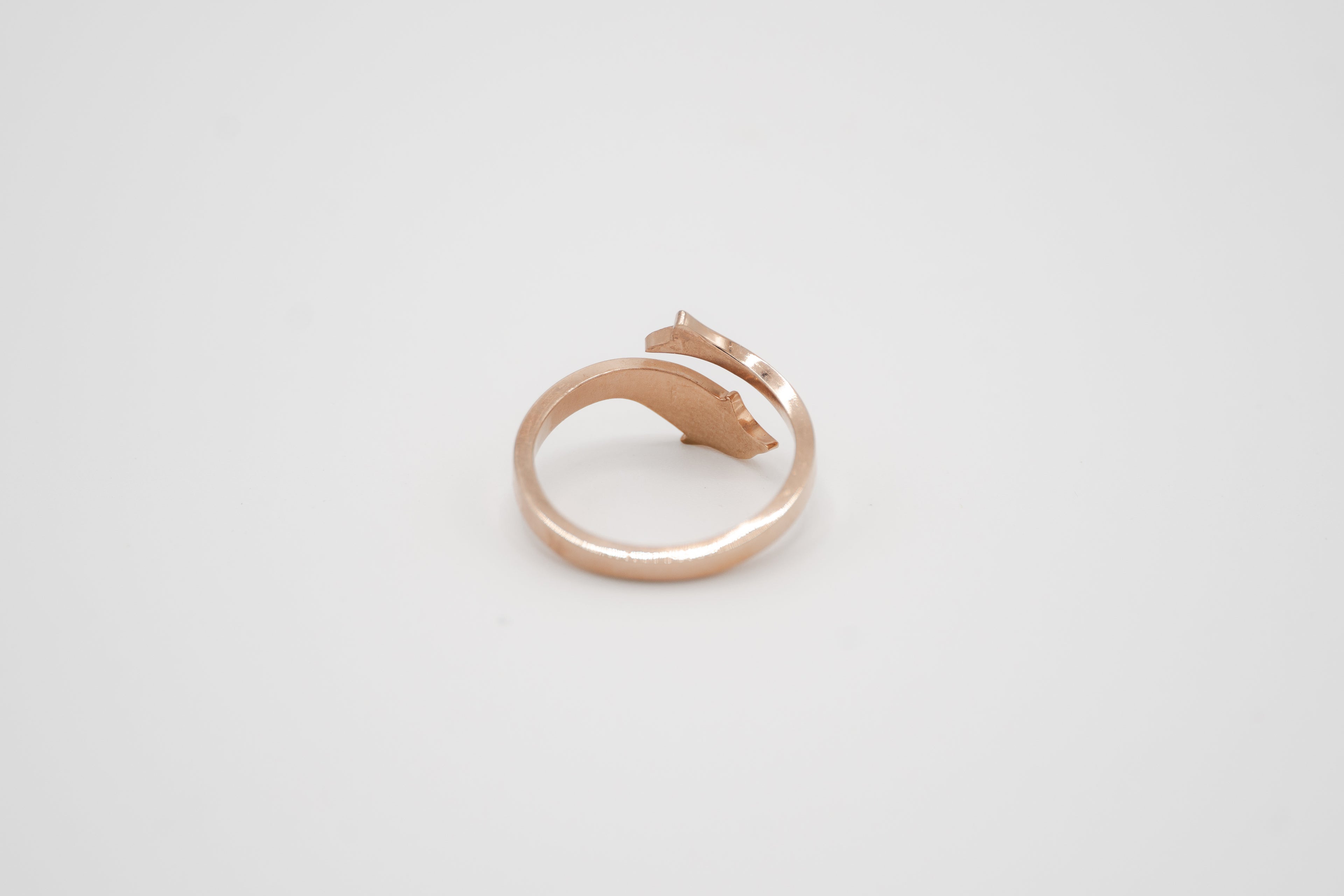 Dolphin Embrace Ring