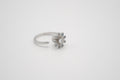 Daisy Bloom Silver Ring